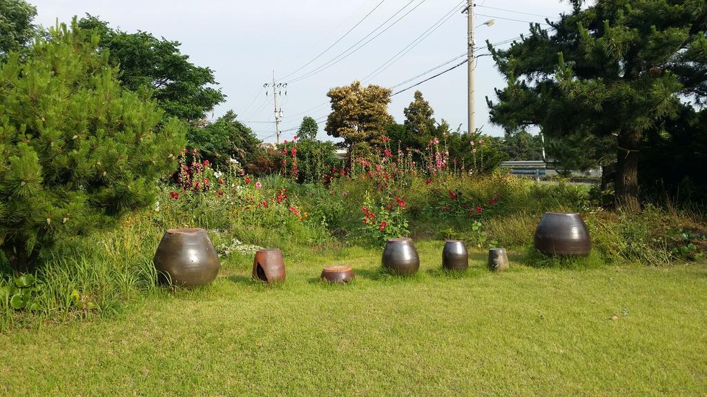 Ostello Jun House Jeju Esterno foto